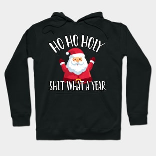 Ho Ho Holy Shit What A Year - Funny Christmas Gift 2020 Hoodie